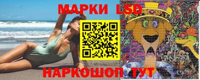 крисы Шахты