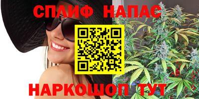 крисы Шахты