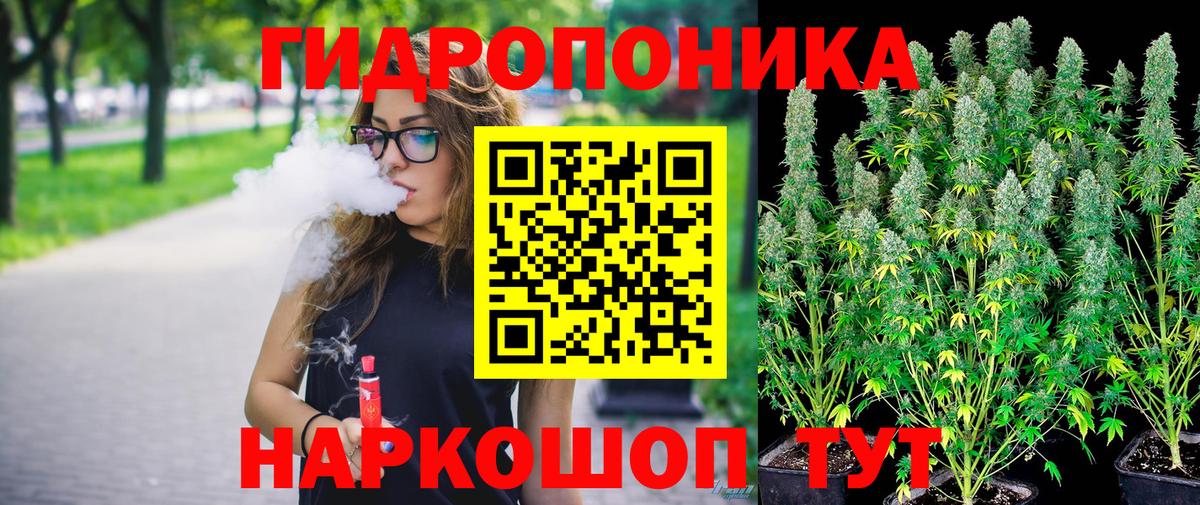 Шишки марихуана OG Kush Сибай